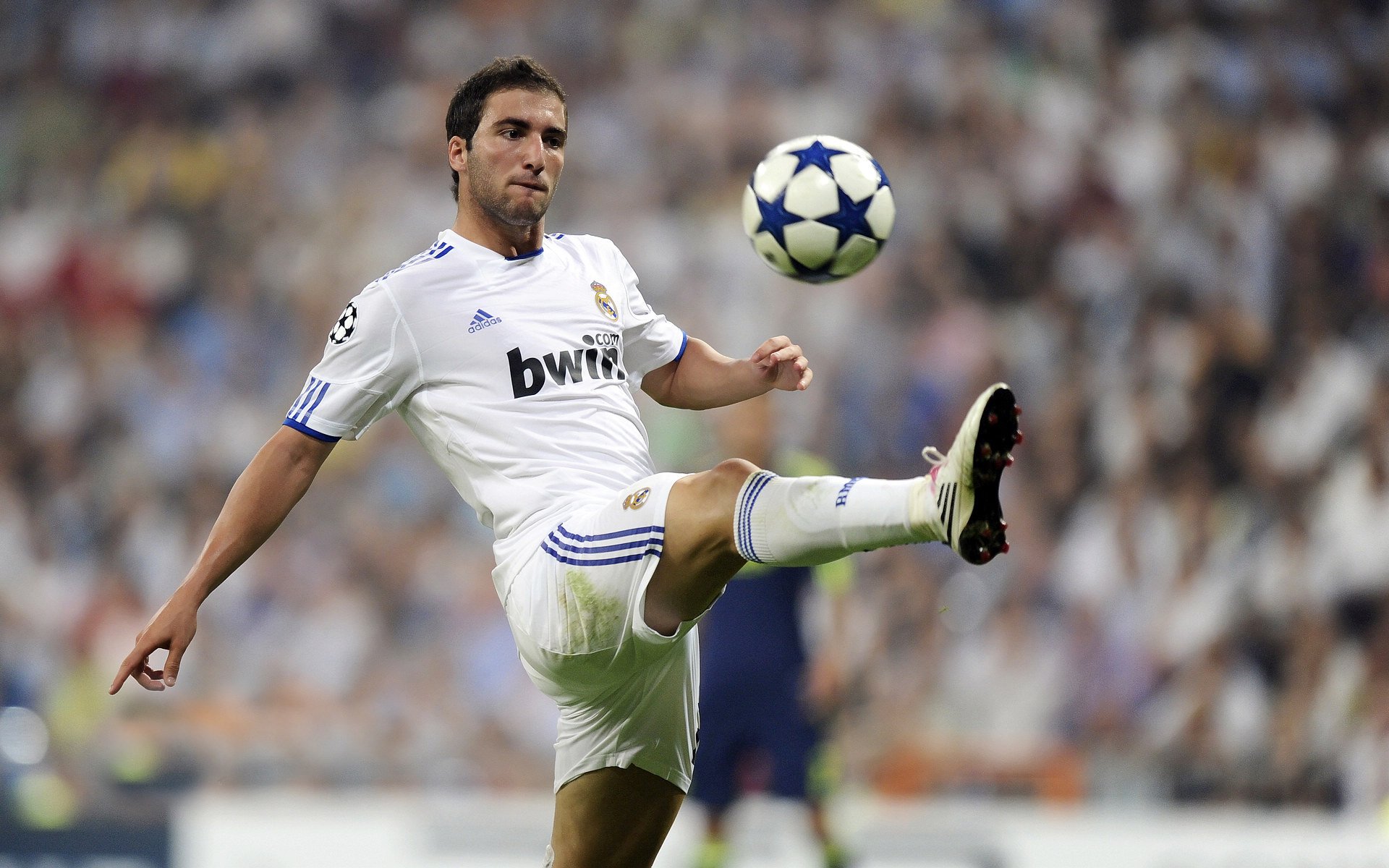 _全景水上运动节：水上飞行、冲浪轮番上演_，水上冲浪介绍