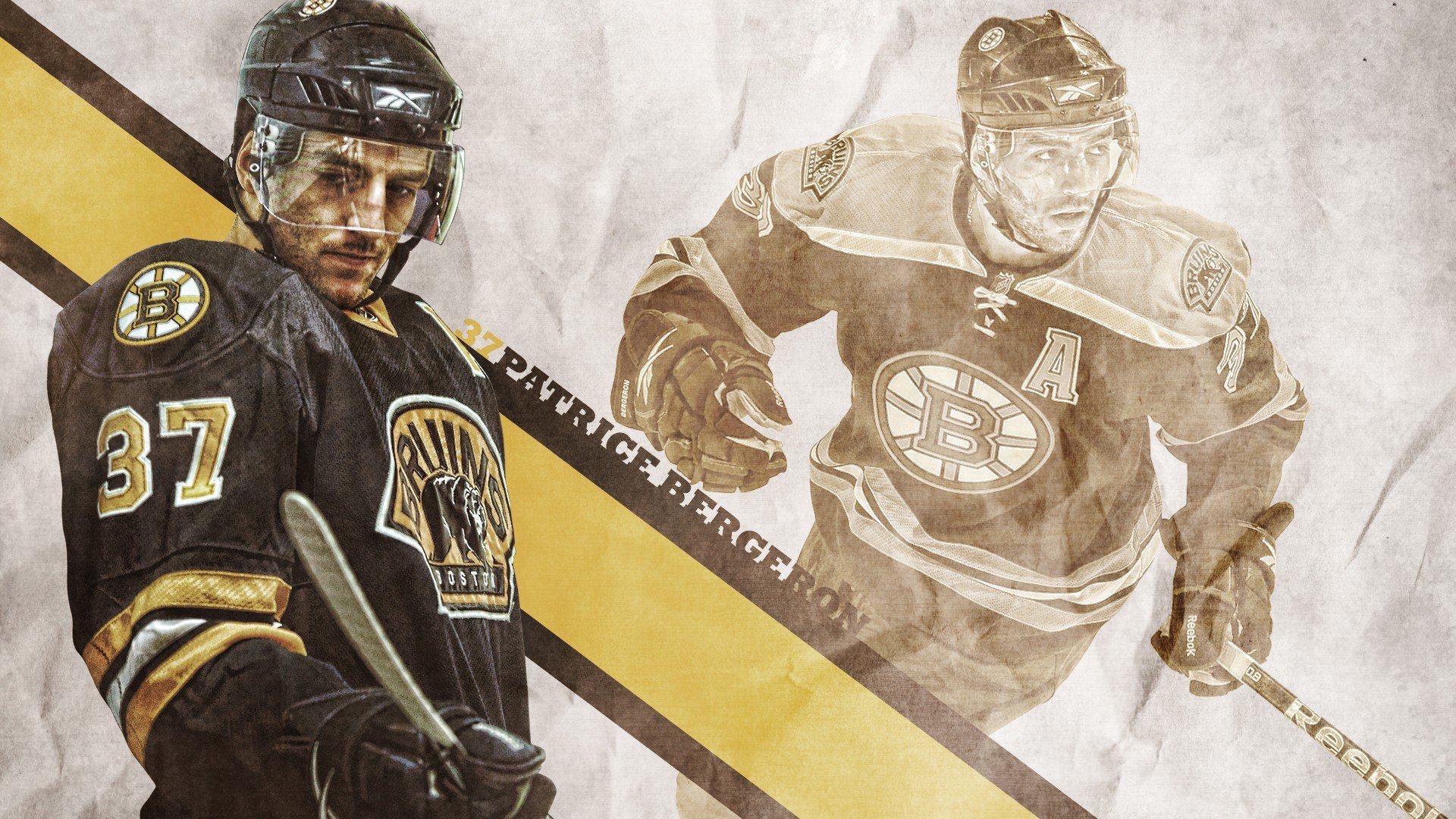 “荒野猎手：沙漠与森林中的激烈追逐”，荒野 沙漠